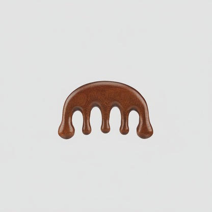 Organist Scalp Massage Gua Sha